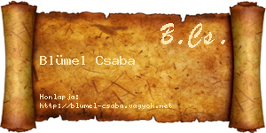 Blümel Csaba névjegykártya